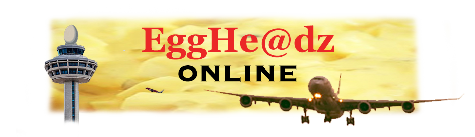 Welcome to Eggheadzz Online